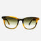 Tortoise Shell