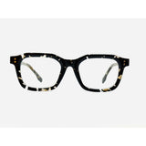 Black Ivory Tortoise