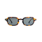 Classic Tortoise