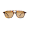 Classic Tortoise