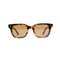 Classic Tortoise