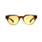 Amber Beige Dual